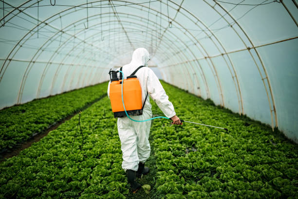 Best Pest Control for Businesses  in Ault, CO