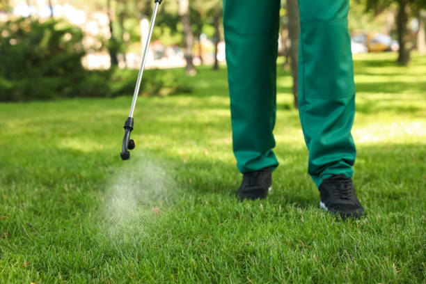 Best Best Pest Control Companies  in Ault, CO