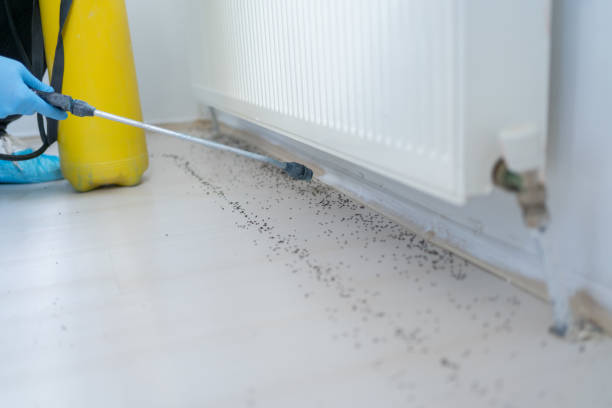 Ault, CO Pest Control Company